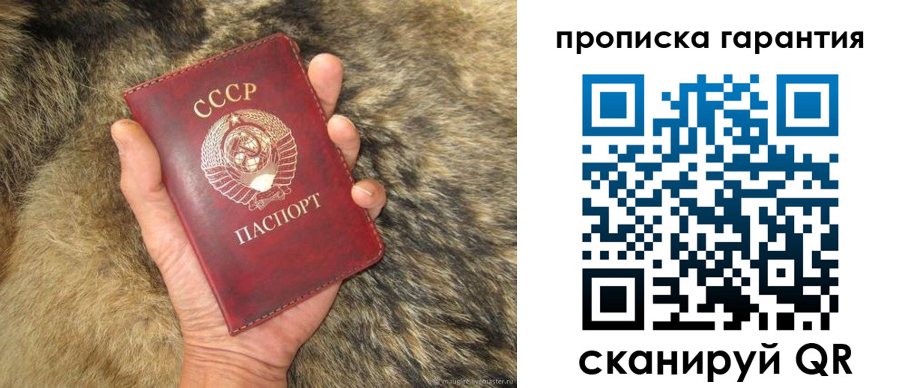 временная регистрация гарантия в Александровске-Сахалинском